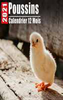 Calendrier 2021 Poussins