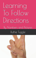 Learning To Follow Directions