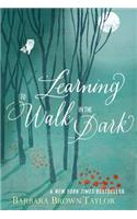 Learning to Walk in the Dark