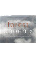 Forest Phoenix: How a Great Forest Recovers After Wildfire