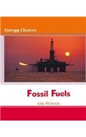 Us Ec Fossil Fuels
