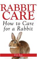 Rabbit Care: How to Care for a Rabbit