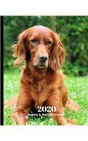 2020 Weekly and Monthly Planner