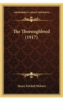 The Thoroughbred (1917) the Thoroughbred (1917)