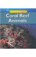 Coral Reef Animals