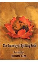 Geometry of Splitting Souls