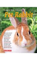 Training Your Pet Rabbit