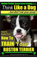 Boston Terrier, Boston Terrier Training AAA Akc