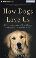 How Dogs Love Us