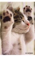 Cat Notebook: 6x 9 Lined Notebook- Cat Composition Notebook- Journal And Diary-100 Pages (Volume 25)