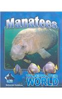 Manatees