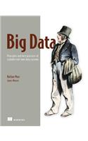Big Data:Principles and best practices of scalable realtime data systems: Principles and Best Practices of Scalable Realtime Data Systems