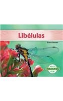 Libelulas (Dragonflies)