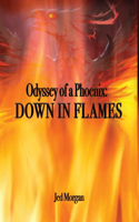 Odyssey of a Phoenix
