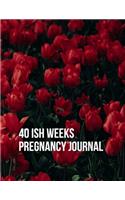 40ish Weeks Pregnancy Journal: A Week by Week Pregnancy Tracking, Checklists, Activities, Memory Book, Journal and Organiser. A Gift for Mom to Be