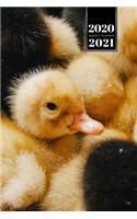 Duck Geese Goose Mallard Duckling Week Planner Weekly Organizer Calendar 2020 / 2021 - Group Cuddling