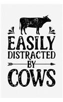 Easily Distracted By Cows