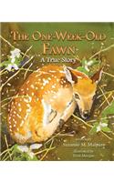 The One Week-Old Fawn: A True Story
