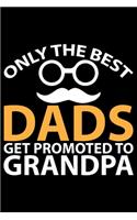 Only The Best Dads Get Promoted To Grandpa
