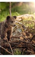 Bear Cub Notebook
