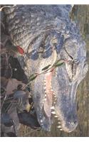 Chinese Alligator in the Water Journal: Take Notes, Write Down Memories in this 150 Page Lined Journal