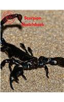 Scorpion Sketchbook: (Sketchbook for Teens)