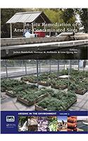 In-Situ Remediation of Arsenic-Contaminated Sites