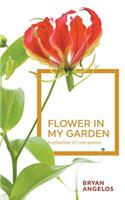 Flower in my Garden