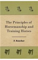 Principles of Horsemanship and Training Horses