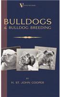 Bulldogs and Bulldog Breeding (A Vintage Dog Books Breed Classic)