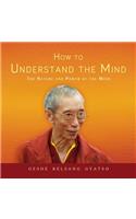 How to Understand the Mind: The Nature and Power of the Mind