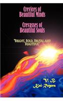 Crevices of Beautiful Minds, Crevasses of Beautiful Souls