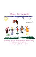 What Is Peace?