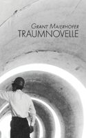 Traumnovelle