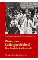 Wozu noch Sozialgeschichte?: Eine Disziplin Im Umbruch