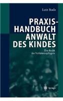 Praxishandbuch Anwalt Des Kindes