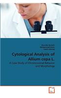 Cytological Analysis of Allium cepa L.