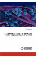 Staphylococcus Epidermidis