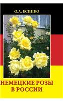 German rose in Russia