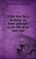 flat iron for a farthing: or, Some passages in the life of an only son
