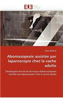 Abomasopexie Assistée Par Laparoscopie Chez La Vache Adulte
