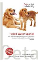 Tweed Water Spaniel: (English)