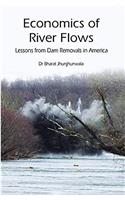 Economics of River Flows