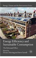Energy Efficiency and Sustainable Consumption