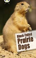 BC NF White B/2A Black-Tailed Prairie Dogs