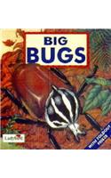 Big Bugs (First Discovery Series)