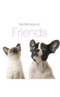The Little Book of Friends