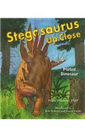 Stegosaurus Up Close