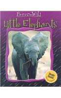 Little Elephants