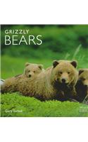 Grizzly Bears
